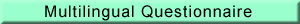 Multilingual Questionnaire