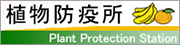 植物防疫所